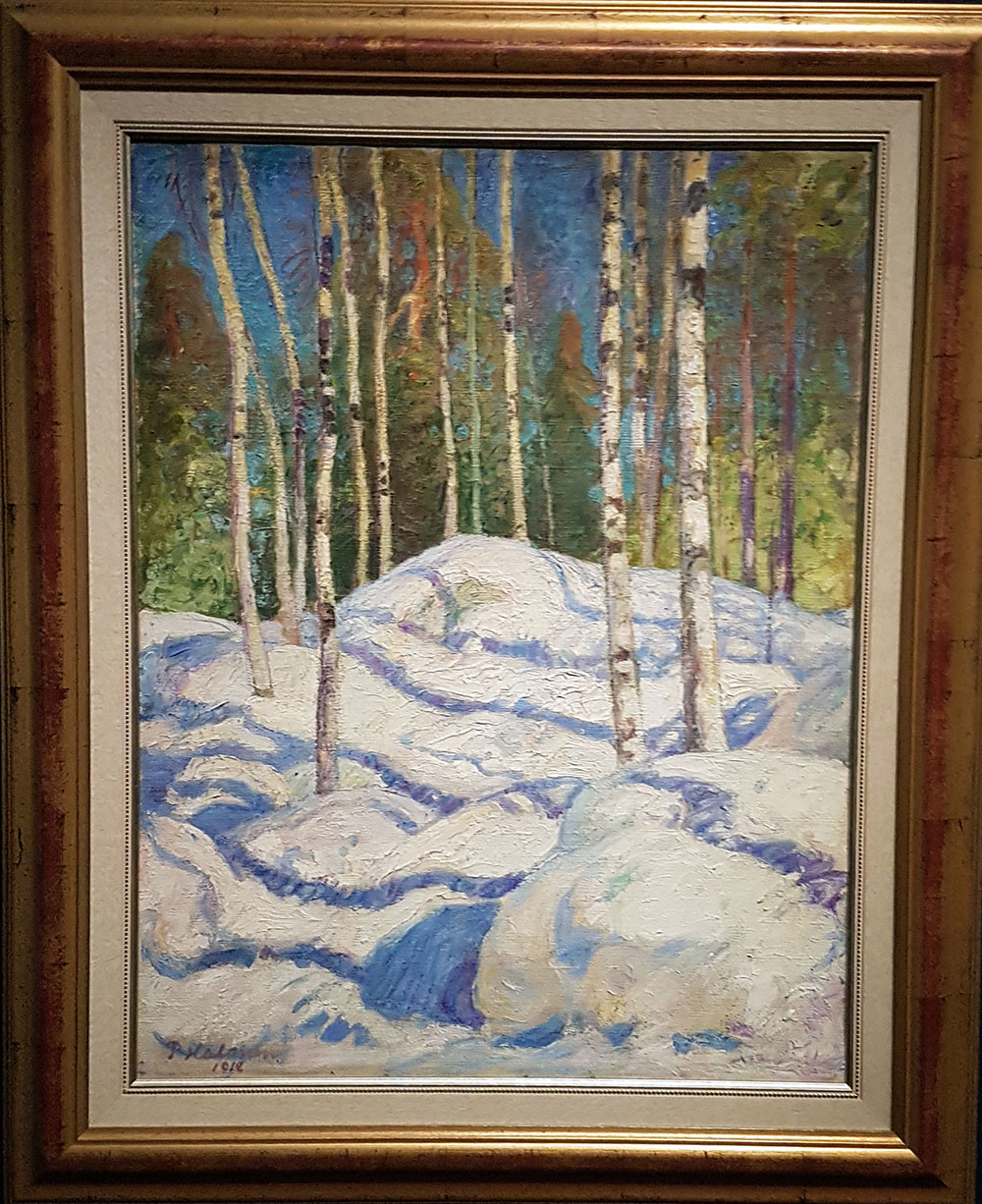 Bouleaux sous le soleil d'hiver