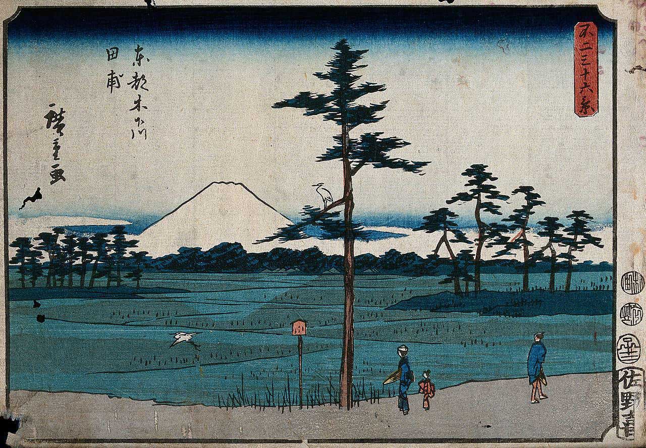 hiroshige kinegawa