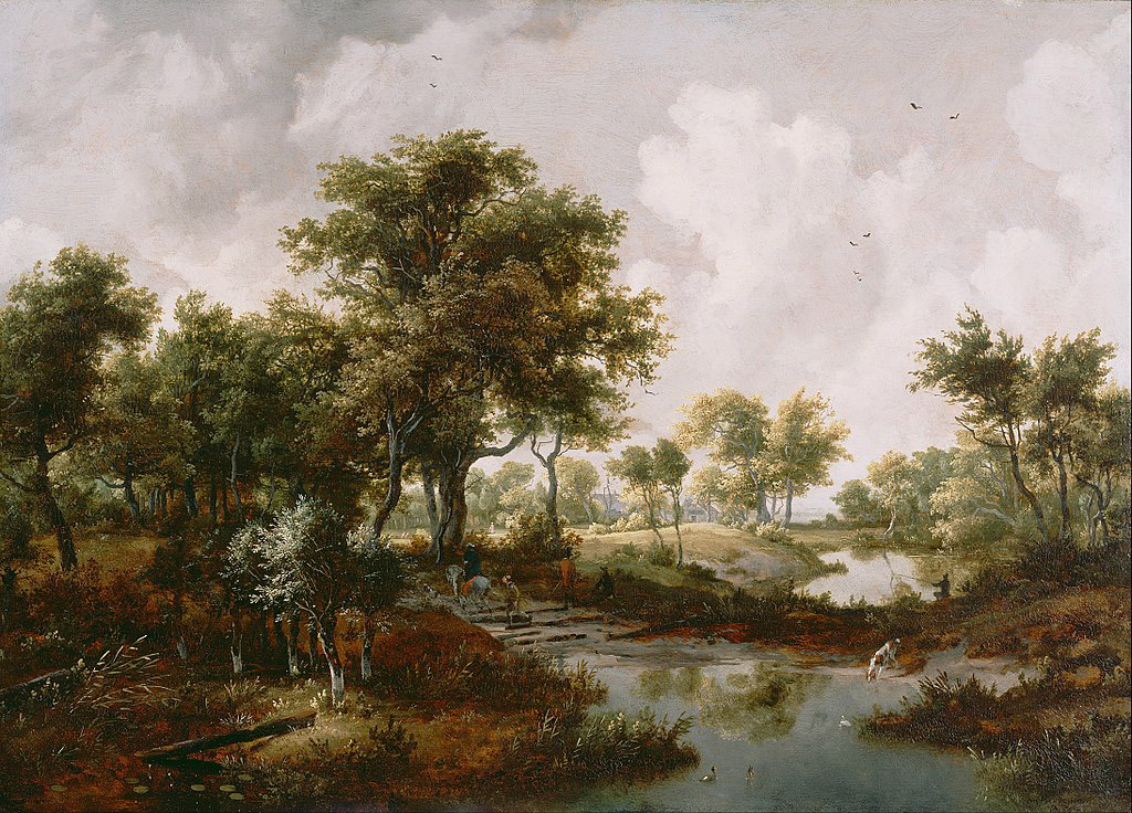 A wooded landscape