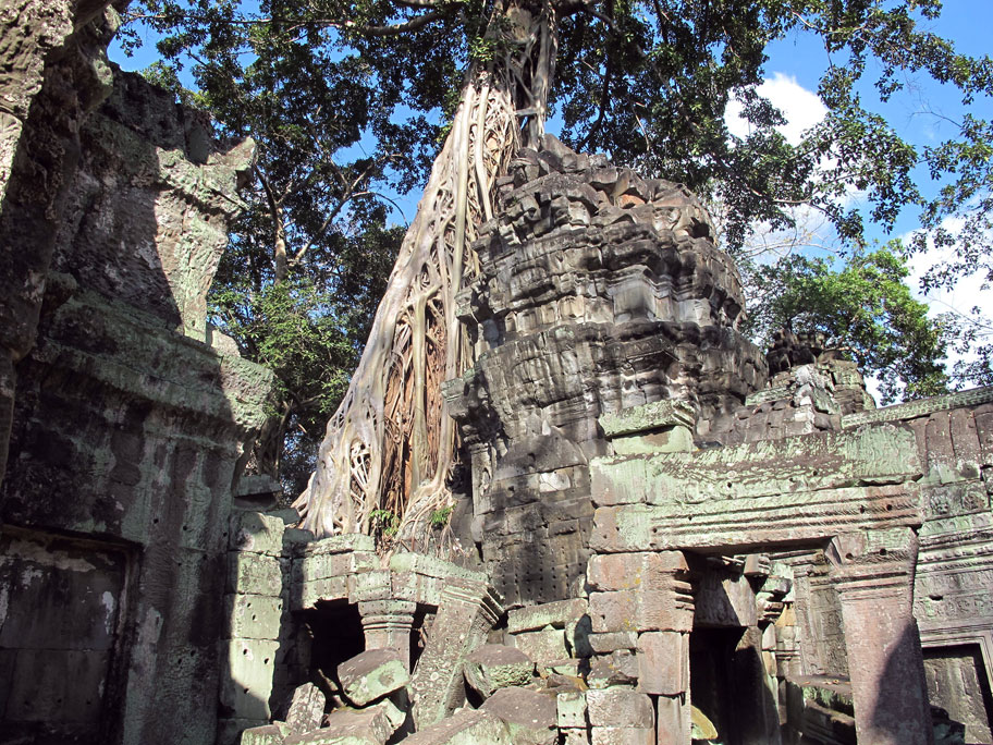 Fromager - Temple d'Angkor - Cambodge