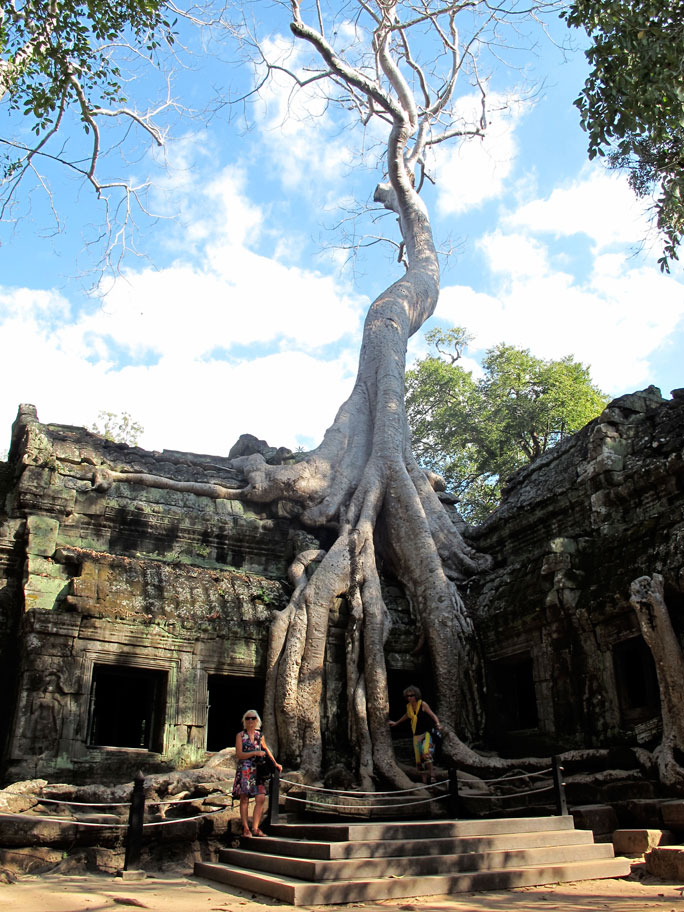 Fromager - Temple d'Angkor - Cambodge