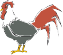 coq