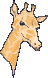 girafe