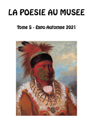 la poesie au musee - tome5