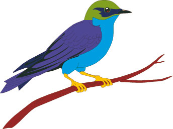 septicolore oiseau bleu cendrars